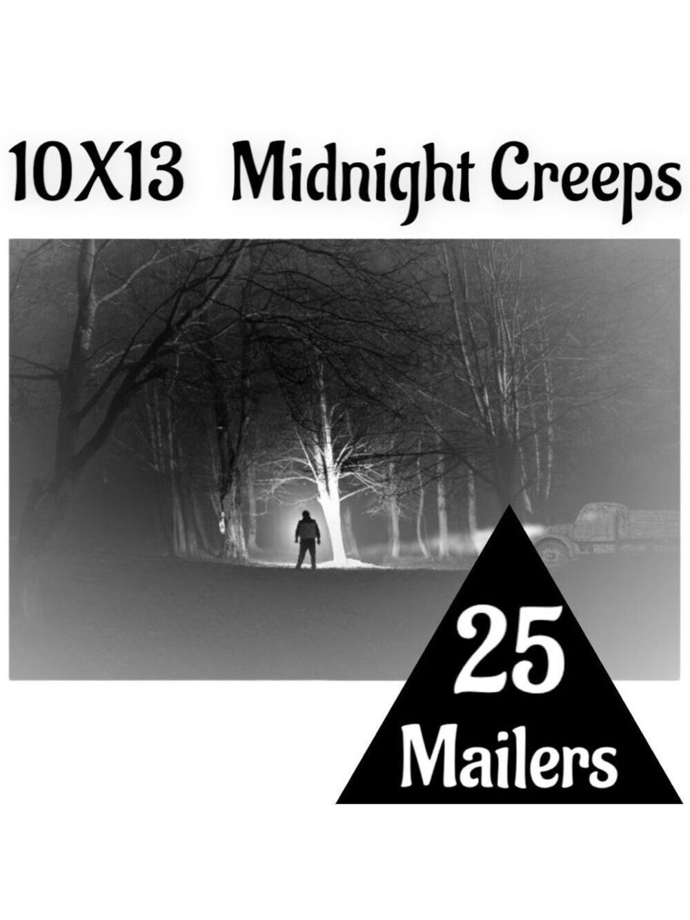 25 10X13 Midnight Creeps Poly Mailers PRICE FIRM Fall - Picture 6 of 15